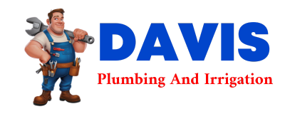 Trusted plumber in ODUM